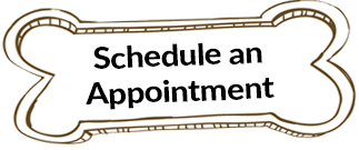 Schedule an appointment