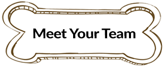 Meet Your Team