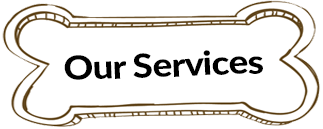 Our Services