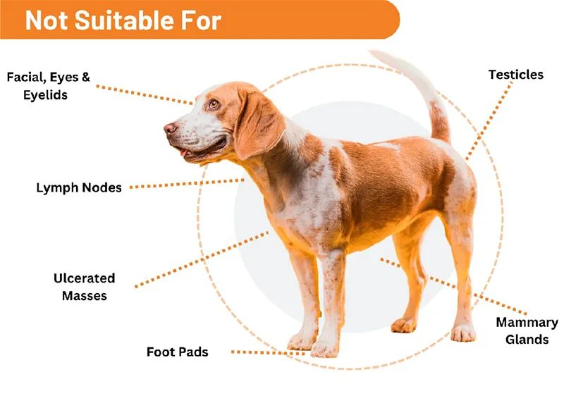 Diagram of a dog with labeled body parts that are not suitable for treatment, including: facial area, eyes and eyelids, lymph nodes, ulcerated masses, foot pads, testicles, and mammary glands