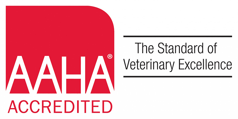 AAHA Accredited - The Standard of Veterinary Excellence